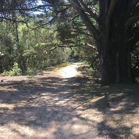Maison De Pecheurs La Couarde-sur-Mer
